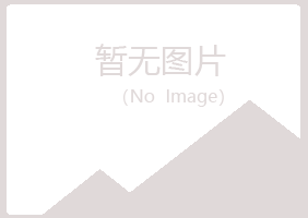 广西夏日律师有限公司